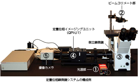定量位相顕微鏡システム