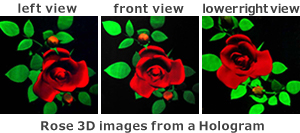 Static holography : Holographic Printer 